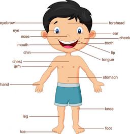 placeholder image to represent content