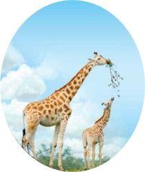 placeholder image to represent content