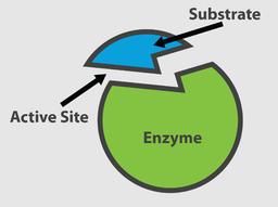 placeholder image to represent content