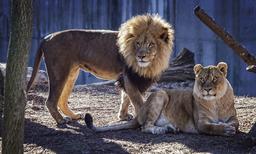 placeholder image to represent content