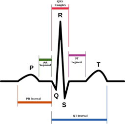 placeholder image to represent content