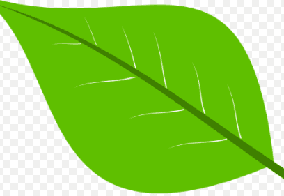 Answer Image