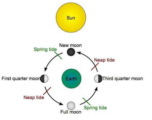 Question Image