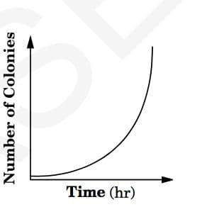 Answer Image