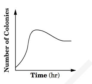 Answer Image