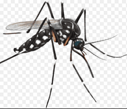 placeholder image to represent content