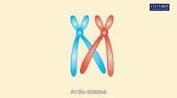 placeholder image to represent content