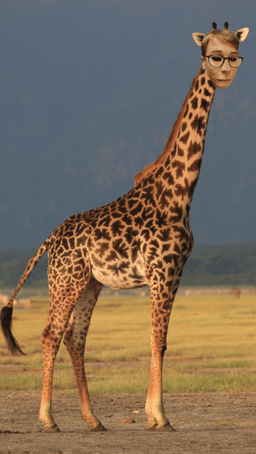 placeholder image to represent content