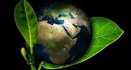 placeholder image to represent content