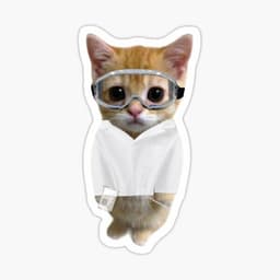 placeholder image to represent content