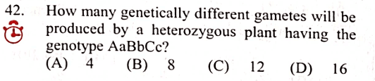 Question Image