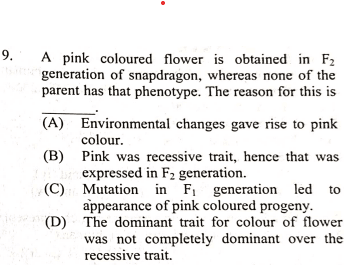 Question Image