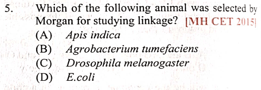 Question Image