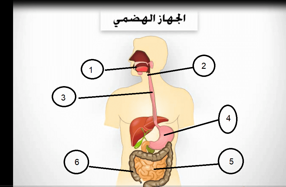 Question Image