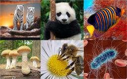 placeholder image to represent content