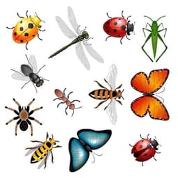placeholder image to represent content