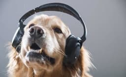 placeholder image to represent content