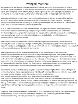 placeholder image to represent content