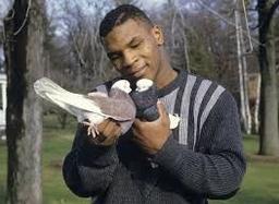 placeholder image to represent content