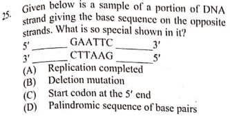Question Image
