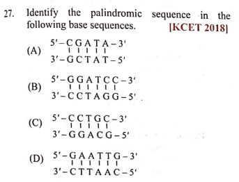 Question Image