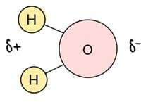 Answer Image