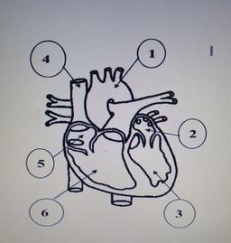 placeholder image to represent content