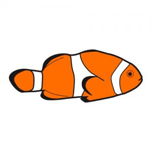 Answer Image
