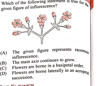 Question Image