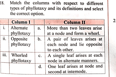 Question Image