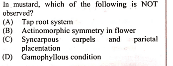 Question Image
