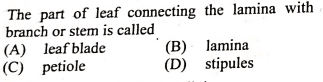 Question Image
