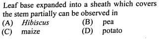 Question Image