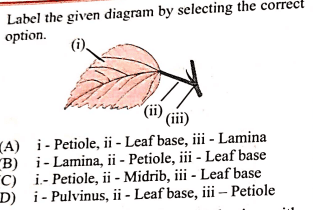 Question Image