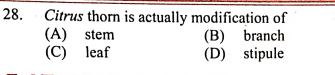 Question Image