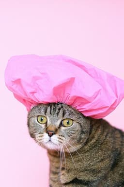 placeholder image to represent content
