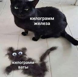 placeholder image to represent content