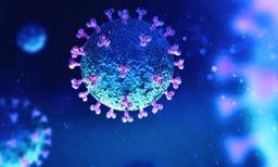 placeholder image to represent content