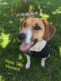 placeholder image to represent content