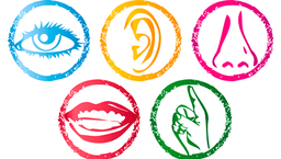 placeholder image to represent content