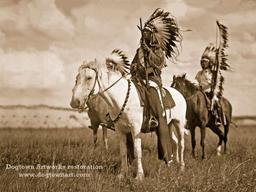 placeholder image to represent content