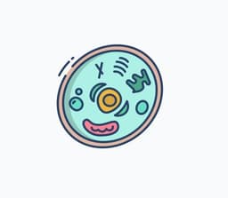 placeholder image to represent content