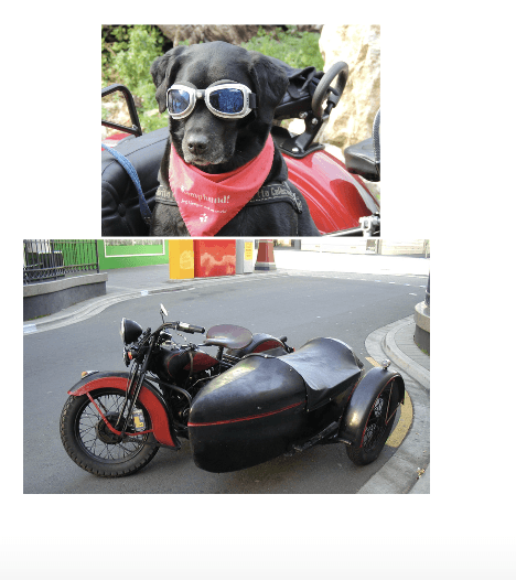 Question Image