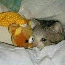 placeholder image to represent content