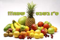 placeholder image to represent content