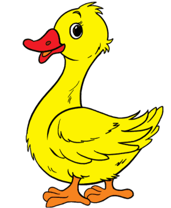 Answer Image
