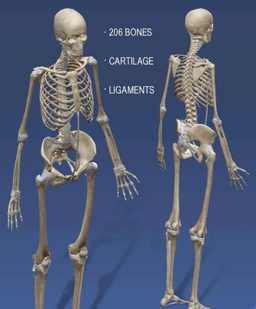 placeholder image to represent content