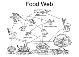 placeholder image to represent content