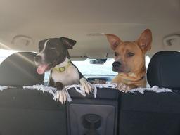 placeholder image to represent content