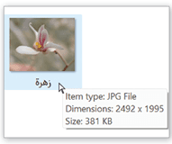Question Image